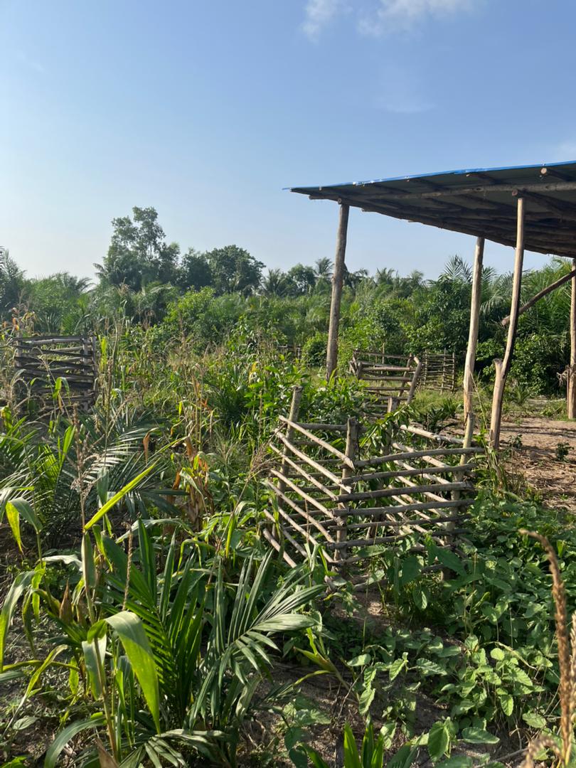 Projet d’appui à la formation des enfants démunis (PAFED) de Gbehoué