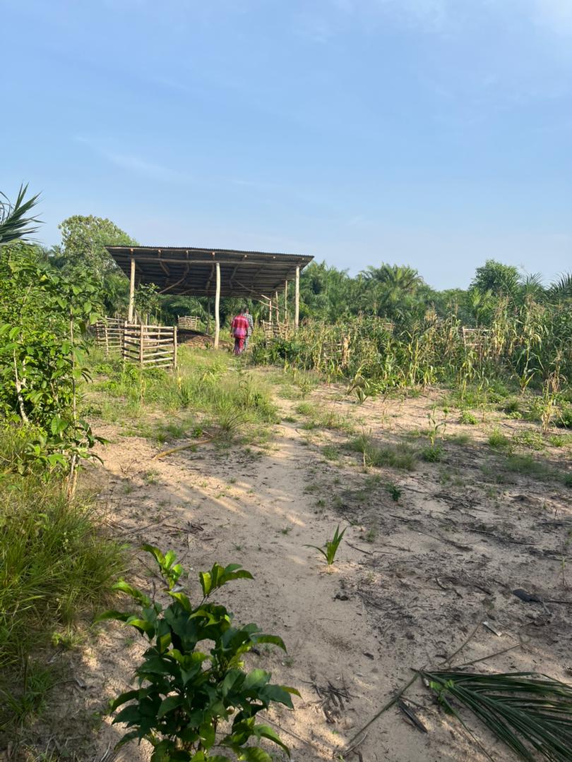 Projet d’appui à la formation des enfants démunis (PAFED) de Gbehoué