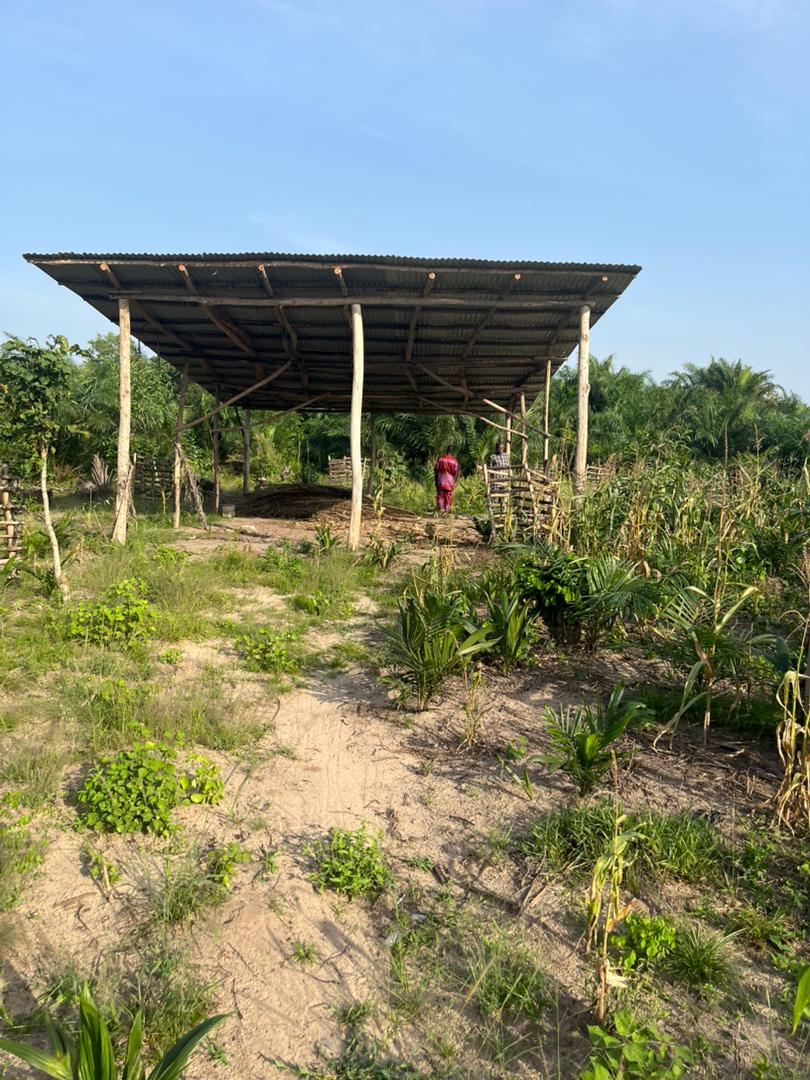 Projet d’appui à la formation des enfants démunis (PAFED) de Gbehoué
