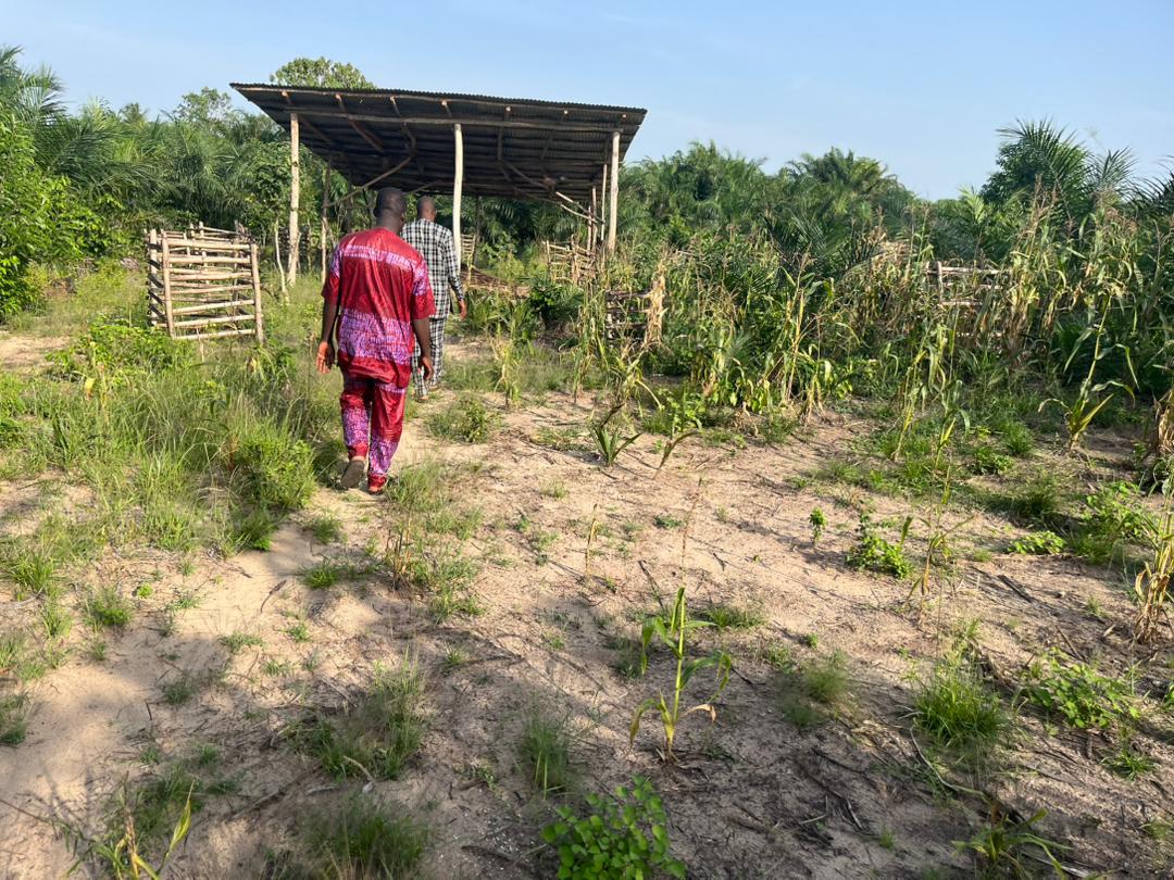 Projet d’appui à la formation des enfants démunis (PAFED) de Gbehoué