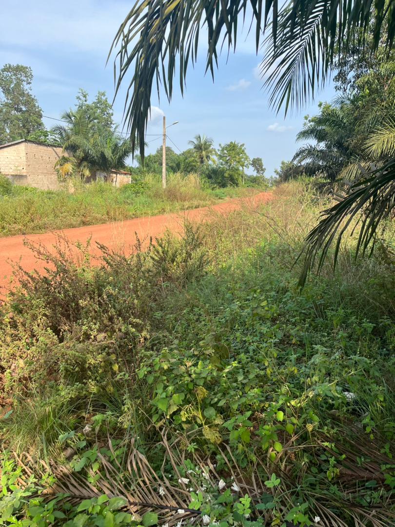 Projet d’appui à la formation des enfants démunis (PAFED) de Gbehoué
