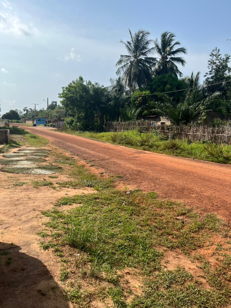 Projet d’appui à la formation des enfants démunis (PAFED) de Gbehoué