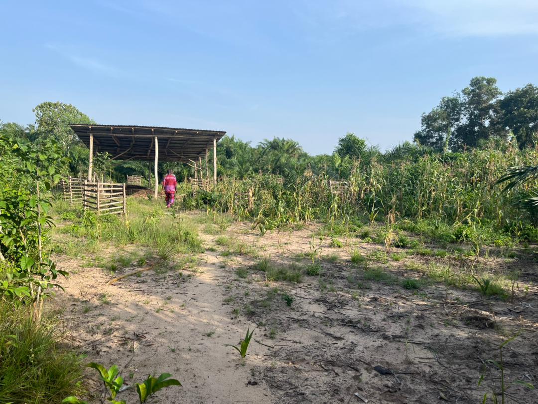Projet d’appui à la formation des enfants démunis (PAFED) de Gbehoué