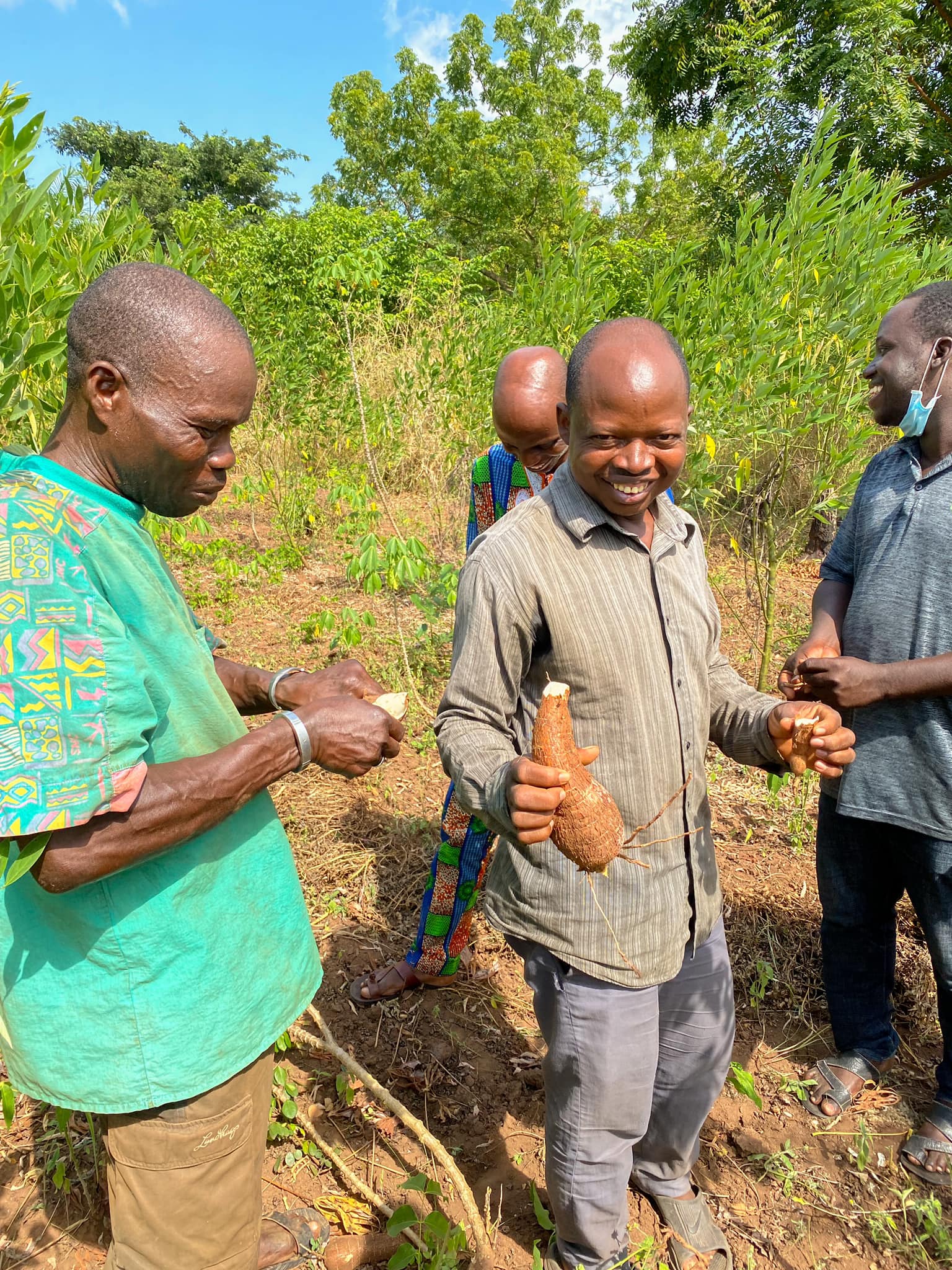 Projet de ferme pilote pour une agriculture durable dans le couffo